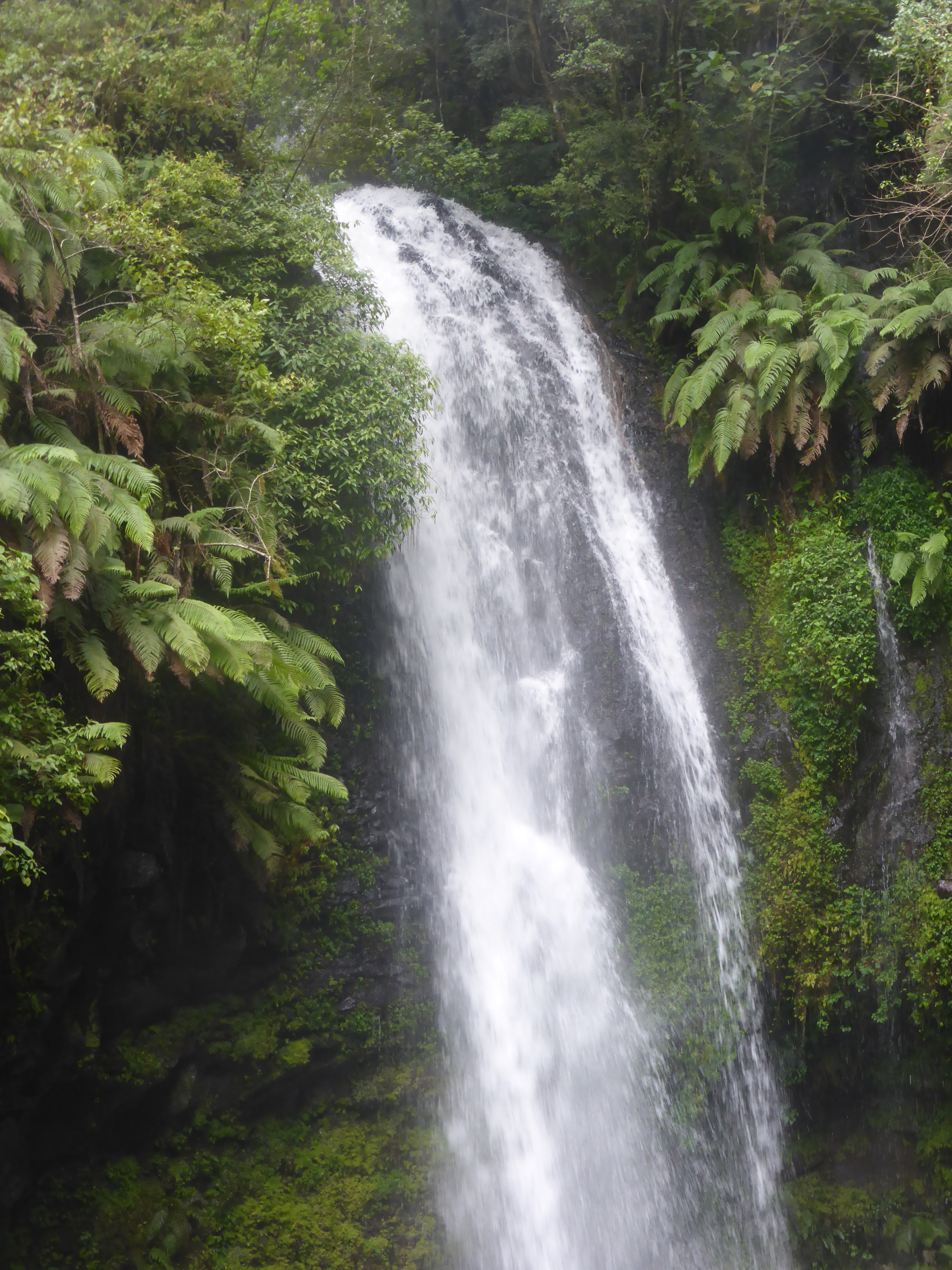 Chute d'eau à Ankarana national Park Chute d'eau à Ankarana national Park